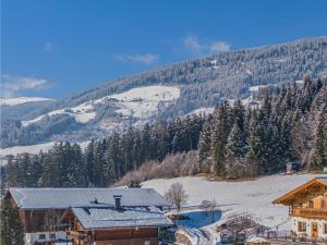 Premium Apartment Almrausch - 3hvězdičkové hotely ve městě Hollersbach im Pinzgau