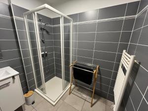 Appartements STUDIO CHARMANT a 10 MIN DES PLAGES : photos des chambres