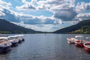 Appartements Studio cosy ambiance vosgienne a 20 mn de Gerardmer : photos des chambres