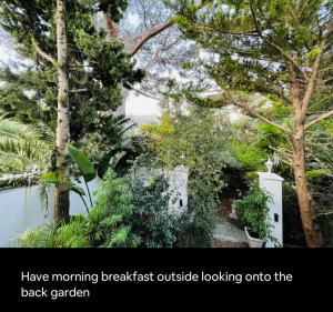 Table Mountain Cottage