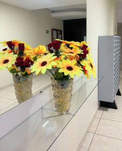 Darcy Ribeiro perto da UNB