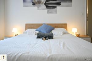 Inn Pisa Rentals - The Modern City Flat