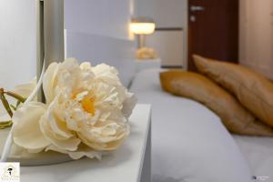 Inn Pisa Rentals - The Modern City Flat