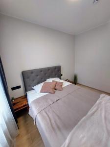 Suur-Posti Apartments