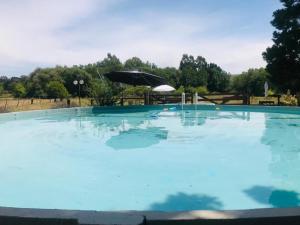 El Estanque de Tandil