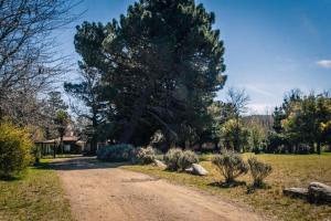 El Estanque de Tandil