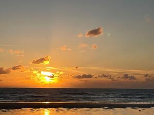 LEscale Paisible, entre dunes et plages