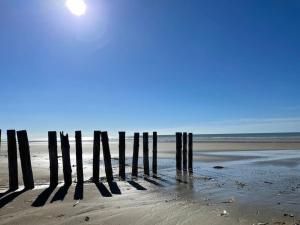 Appartements L-Escale Paisible, entre dunes et plages : photos des chambres
