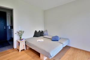 Hus154 Ferienhaus im Brandnertal