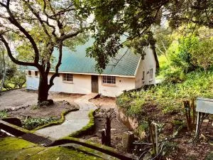 The Core - Bushman Rock