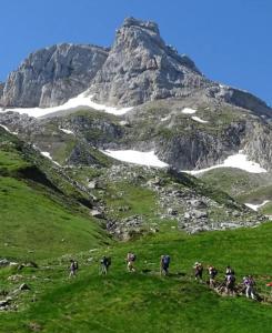 Appartements Monplaisir : photos des chambres