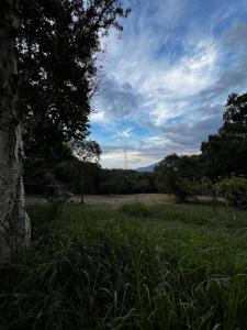 Yarumito Finca Hotel l Cabaña Girasol