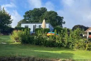 TheFunkyPigsty - Coleford