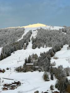 Chalet Luxury 5-Les Gets-Luxe-confort-jacuzzi-cheminée-à 400 m des pistes-Vue exceptionnelle