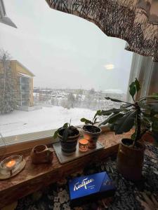 Peaceful City Apartment with Sauna & Balcony