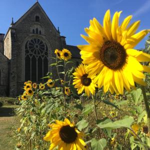 Maisons de vacances Quai du Val is a Charming Pet and Family Friendly Riverside Gite in Lehon close to Dinan Sleeps 7 : photos des chambres