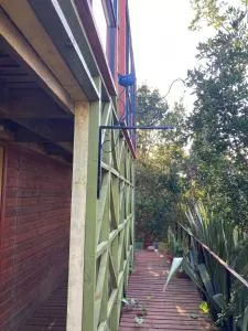 Gato Azul - Contulmo