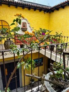 Maison Bougainvillea - San Juan Gascón