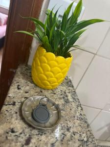 Centro, apto inteiro, rua São Paulo com Afonso Pena