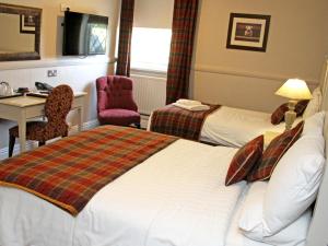 Family Room room in Honest Lawyer Hotel