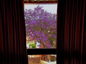 Hermoso departamento con la mejor vista de Sucre 1