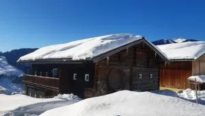 Almhütte Brandgut - 上柯尼希山麓米尔巴赫