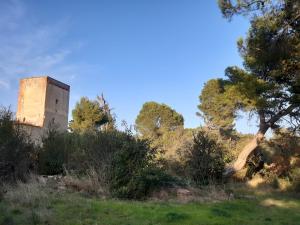 sur les pas des templiers