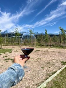 Cabañas para 4 personas Caminito al Atuel