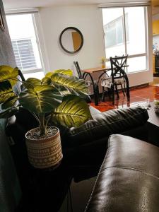 Hermoso departamento céntrico