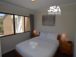 Alpine Mountain View 40