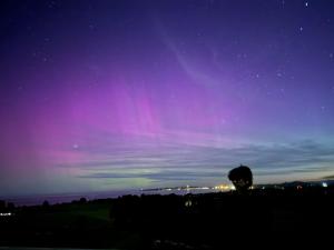 Kaikoura, Cubby House Stay