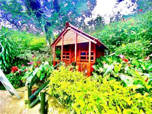 Finca El Remanso La Vega