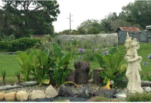 Bird Song Farm
