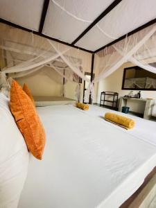 Mango Tree House