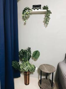 Comfy Space by Stay N Fly