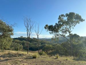 The Stockyard Experience