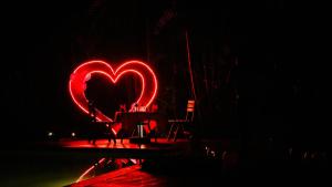 Greenwoods Thekkady - A Five Star Classified Resort