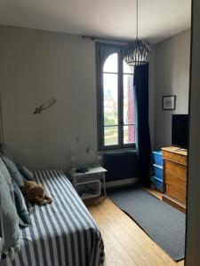 Maisons de vacances La petite Jacqueline, Maison classee 3 etoiles, hyper centre face plage : photos des chambres