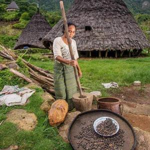 Wae Rebo Traditional House Dormitory