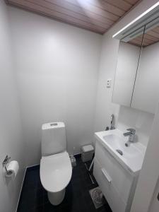 Luxury in Kaleva centrum