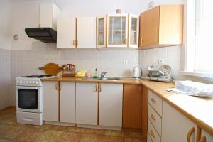 Apartment Karolina 517