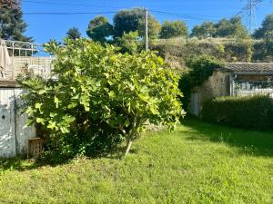Maisons de vacances Gite Marguerite : photos des chambres