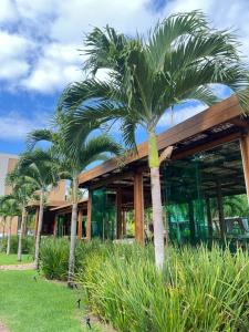 Amura Carneiros - Pé na Areia