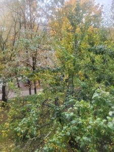 Cozy apartment Akropolis