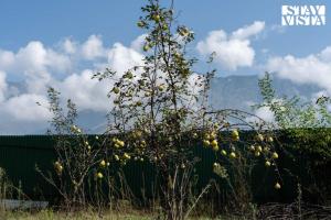 StayVista at Rahat with Private Pool, Lawn & BBQ