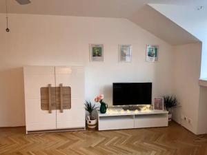 Modern apartment in the city centre