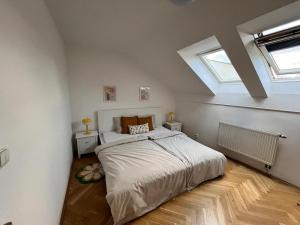 Modern apartment in the city centre