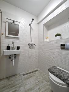 Cozy Studio in Central Sesvete 