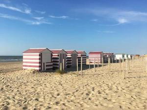 DePanne FiftyOne