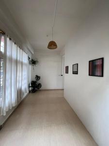 The Local Guest House